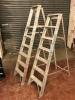 2 x 6 Tread Aluminium Stepladders