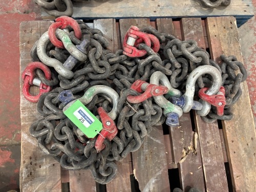 4 x 1 Leg 12 Tonne D-Pivot and D-Shackle 2500mm (L) Chain Set (URN 5)