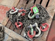 4 x 1 Leg 12 Tonne D-Pivot and D-Shackle 2500mm (L) Chain Set (URN 5) - 3