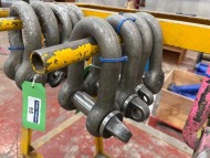 4 x D-Shackle; 5 Tonne 55mm Bore (URN 36) - 2