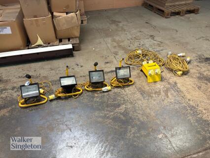 4 x site lights, an adaptor & various cables