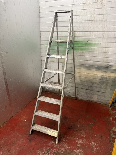 6 Tread Platform Aluminium Step Ladder