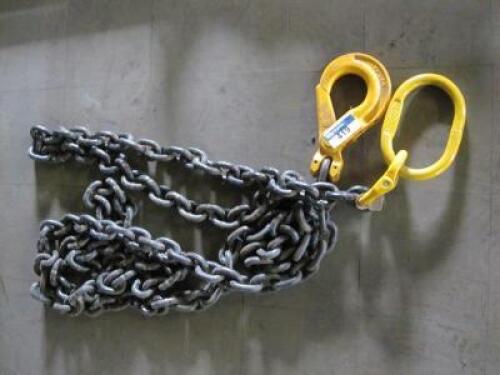 Lifting Chain