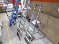 6 Tread and a 4 Tread Step Ladders